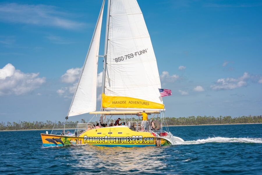 Panama City Beach: Dolphin Sightseeing Trip by Catamaran - The practical verdict at $38