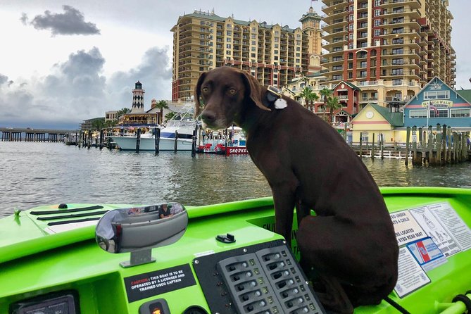 Panama City Beach's - Dolphin Sunset Cruise - What the first minutes feel like