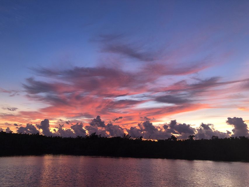 Panama City: Sunset Dolphin Cruise in St. Andrews Bay - Key points to know before you book