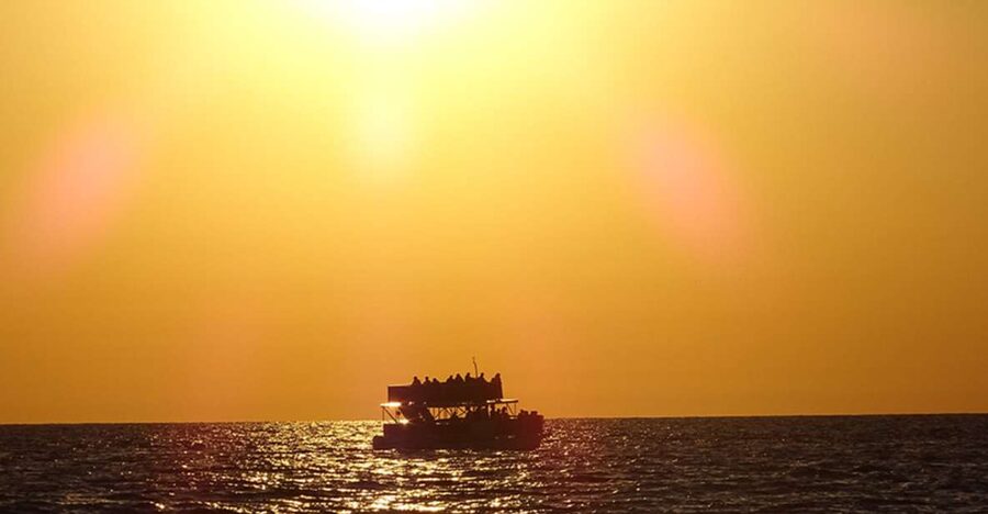 Panama City: Sunset Dolphin Cruise in St. Andrews Bay - Why this cruise works so well at sunset
