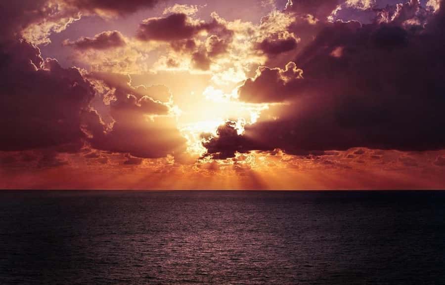 Panama City: Sunset Tour with Dolphin Watching - Greta the Sea Dog and the character of the trip