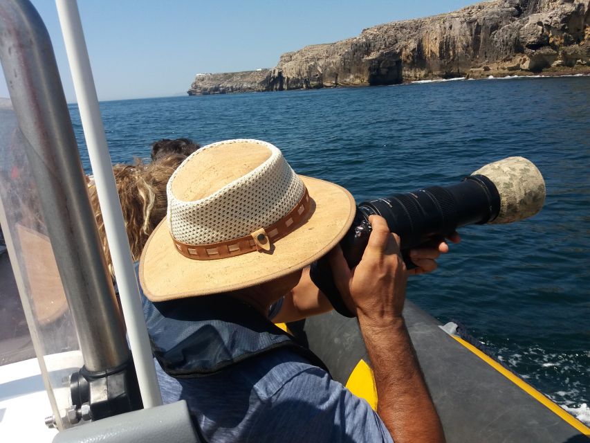 Peniche: Dolphin Route Boat Trip - Setting out from Peniche Marina