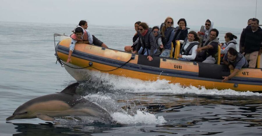 Peniche: Dolphin Route Boat Trip - The coastline looks different from offshore