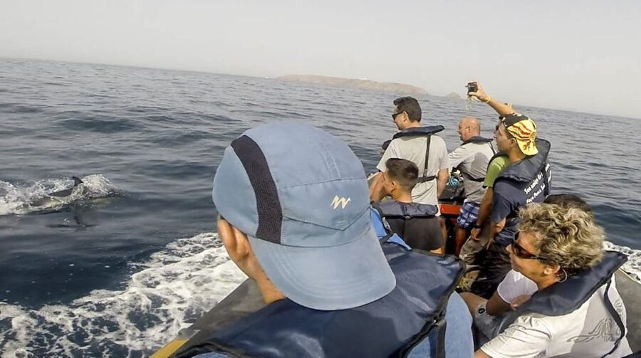 Peniche: Dolphin Route Boat Trip - Comfort, safety, and who should skip it
