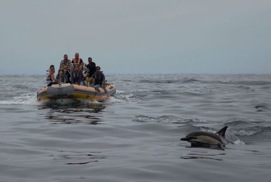 Peniche: Dolphin Route Boat Trip - What to bring for a better boat ride