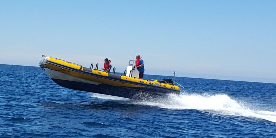 Peniche: Dolphin Route Boat Trip - Booking flexibility and meeting details