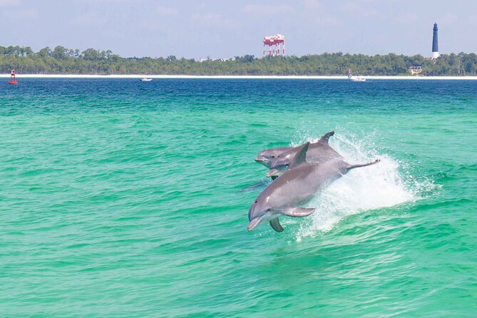 Pensacola Beach Dolphin and Scenic Tour - Key things to know before you book