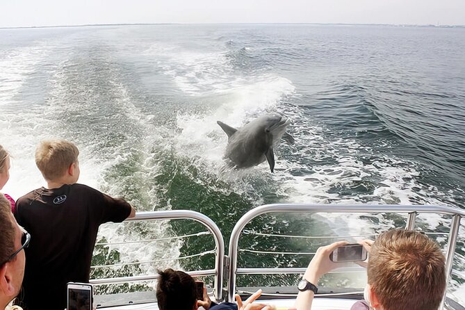 Pensacola Beach Dolphin and Scenic Tour - What the Dolphin Watching Is Really Like