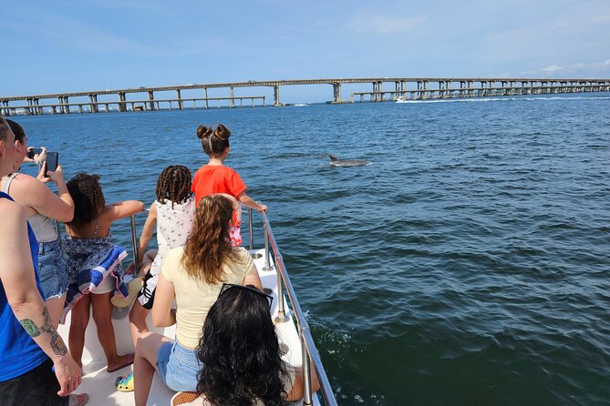 Pensacola Beach Dolphin and Scenic Tour - Comfort, Group Size, and What to Bring