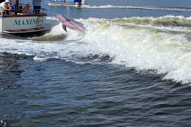 Pensacola Frisky Dolphin Sightseeing Bay Cruise - Getting there, parking, and boarding