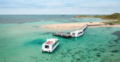 Dolphin, Sealion & Wildlife Cruise with Lunch
