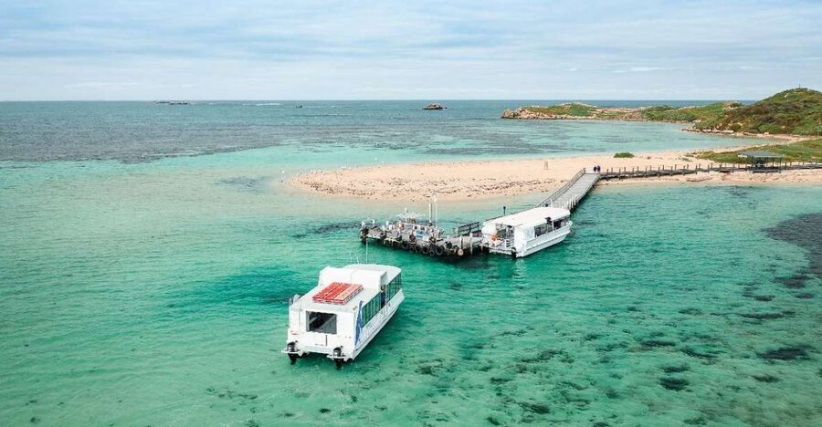 Perth: Dolphin, Sealion & Wildlife Cruise with Lunch - Checking in at Penguin Island Visitor Center