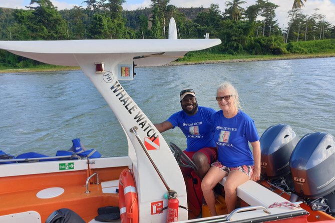 PH Whale Watch & Dolphin Cruise in Dominica - What the guide adds to the ride