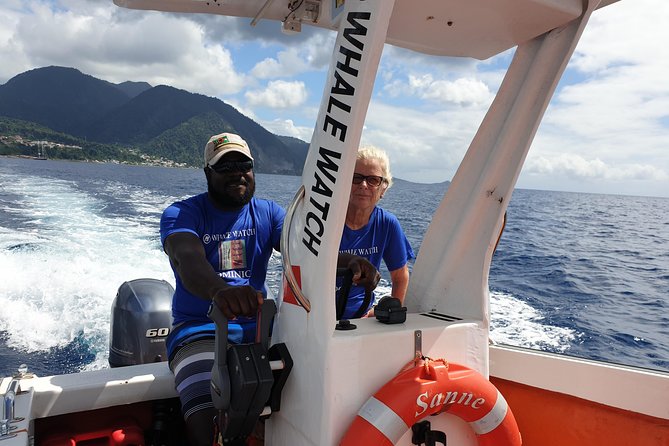 PH Whale Watch & Dolphin Cruise in Dominica - Three hours, rum punch, and real sea conditions