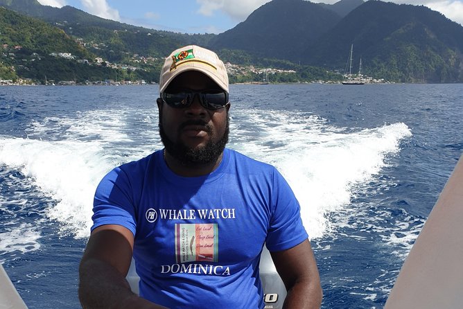 PH Whale Watch & Dolphin Cruise in Dominica - Who will enjoy this most?