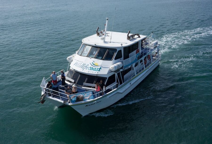 Philip Island: Dolphin and Whale Cruise - Who will enjoy this cruise most?