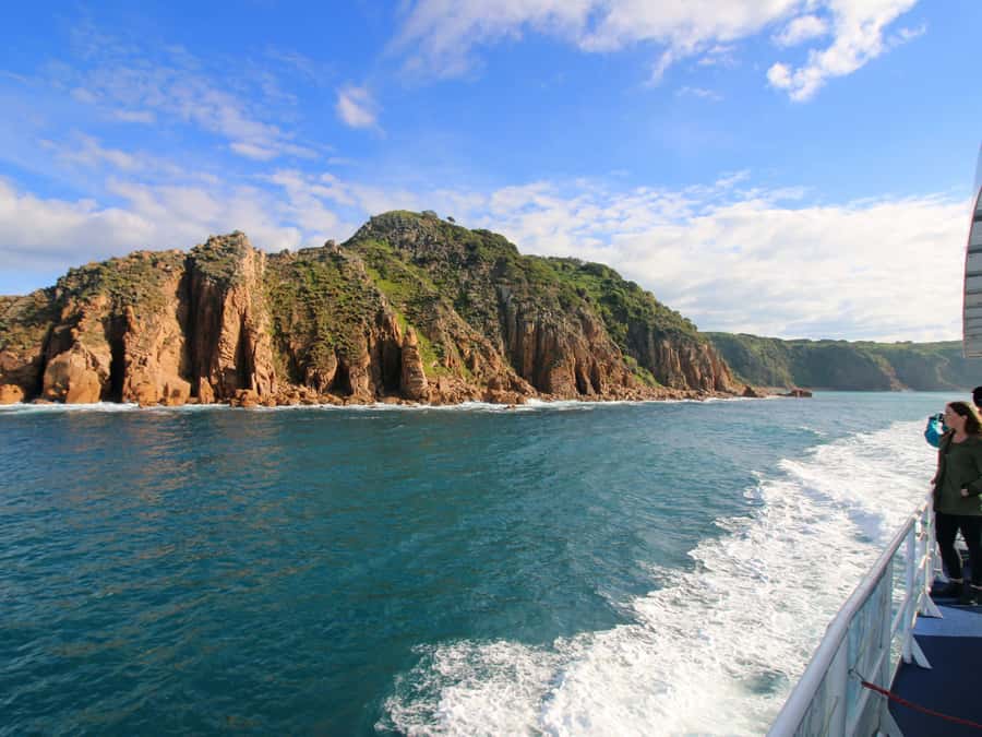 Philip Island: Dolphin and Whale Cruise - Practical booking advice for a better day