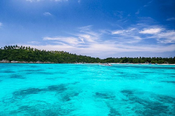 Phuket Dolphin Quest: Racha & Maiton Island Expedition - Who will enjoy this day most