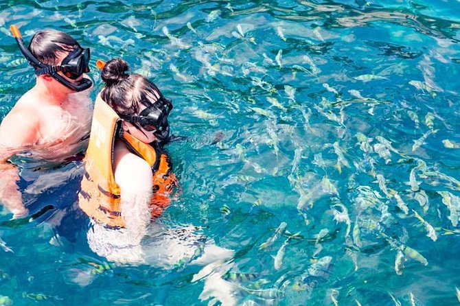 Phuket Dolphin Quest: Racha & Maiton Island Expedition - The 7:30 a.m. pickup and Panwa Pier start