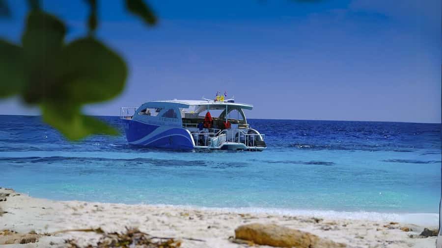 Phuket: Raya Island, Maithon Island, & Dolphin Spotting Tour - Is $94 good value?