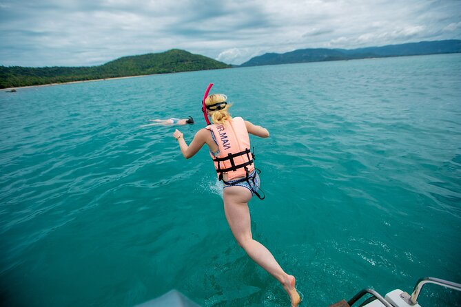 Pink Dolphin and Pig Island Snorkeling Tour from Koh Samui - Koh Madsum and the pigs on the beach