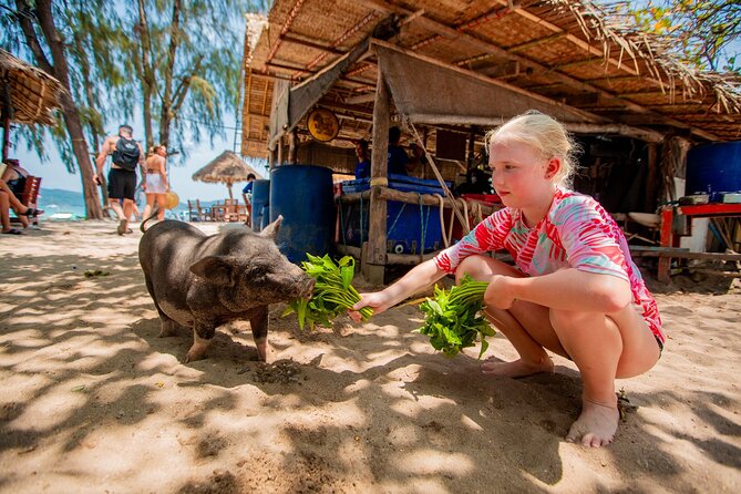 Pink Dolphin and Pig Island Snorkeling Tour from Koh Samui - Koh Tan’s 90-minute snorkeling stop