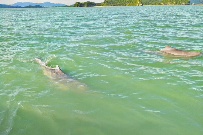 Pink Dolphin Spotting & Pig Island Speedboat Tour From Koh Samui - Koh Tan: the best chance for water time