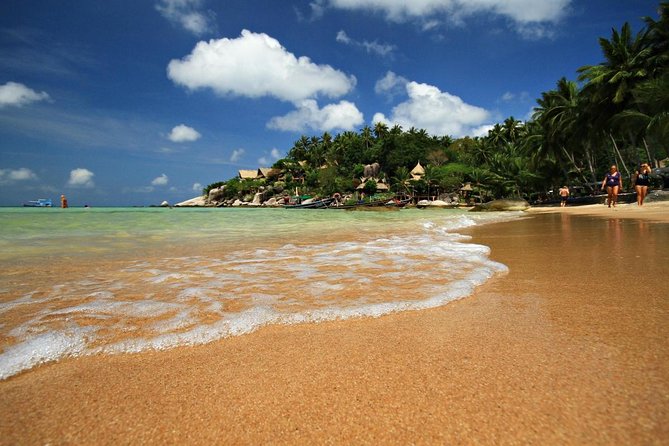 Pink Dolphin Spotting & Snorkelling Day Tour At Pigs Island - Key points to know before booking