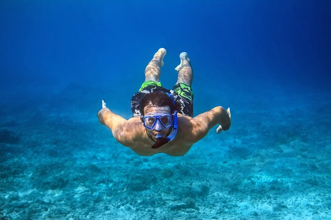 Pink Dolphin Spotting & Snorkelling Day Tour At Pigs Island - Lunch and swimming on the mainland