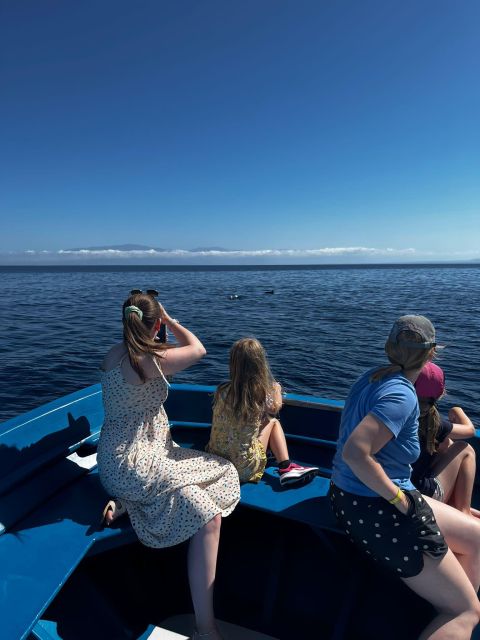 Pizzo: Fishing, Snorkeling, Dolphin Watching - A three-hour outing with several chances to enjoy the sea