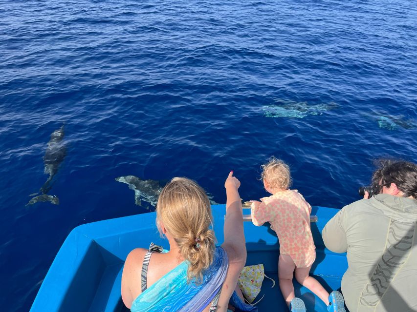 Pizzo: Fishing, Snorkeling, Dolphin Watching - Fishing help for beginners and families