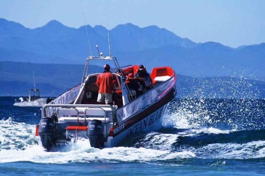 Plettenberg Bay: Dolphin and Marine Boat Tour - Keurbooms Beach and the first dolphin search