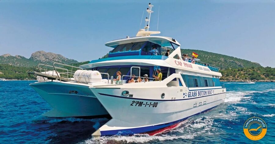 Pollença: Dolphin Watching Boat Excursion - What the $63 price really covers