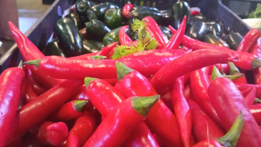 Ponta Delgada: Fat Dolphin Food Tours - Mercado da Graça and the taste of São Miguel pineapple