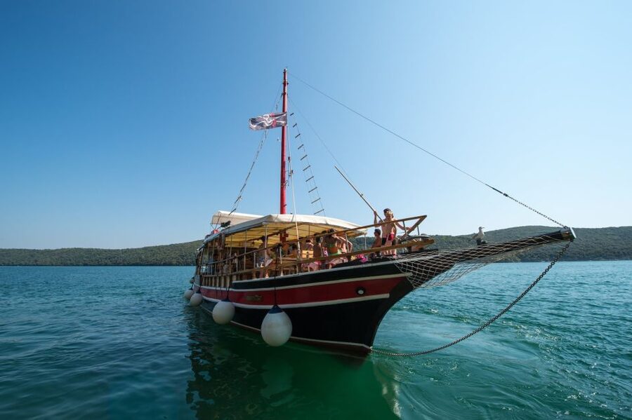 Poreč: Evening Boat Trip to Discover Dolphins - How Dolphin Watching Actually Works