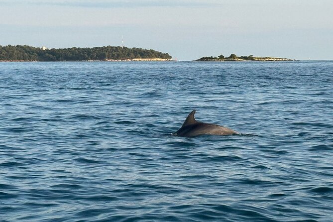 Porec Sunset Shared Cruise on Speedboat with Dolphin Sightseeing - Seeing Poreč’s old town from the sea