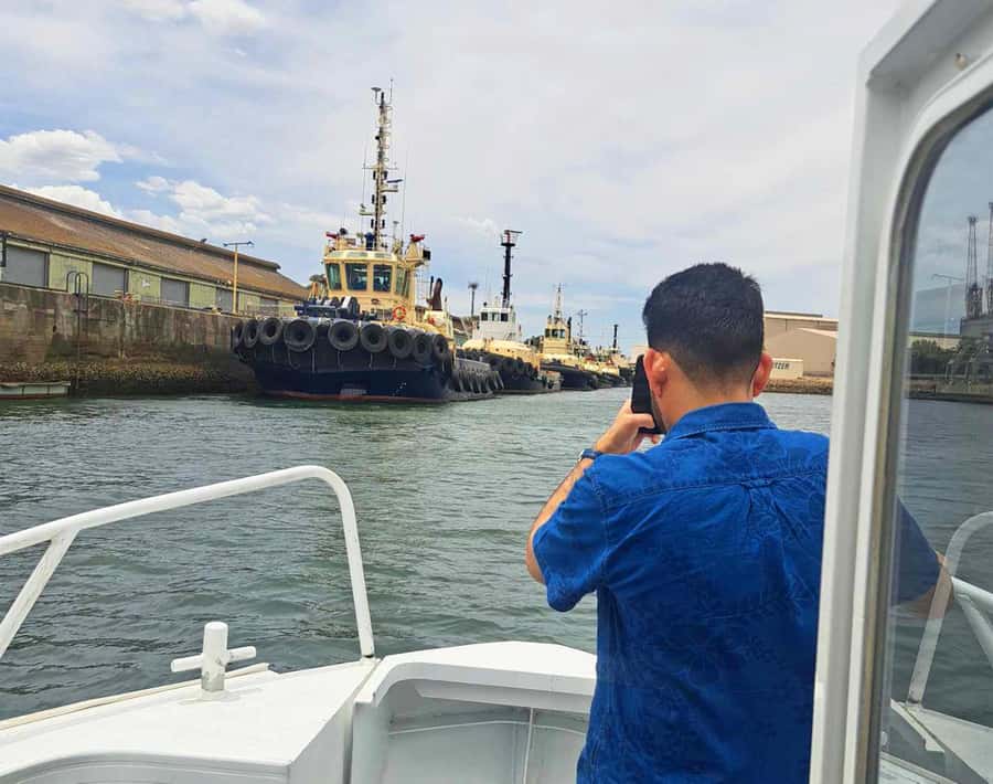 Port Adelaide: Dolphin and Maritime Cruise - What the two-hour length means for you