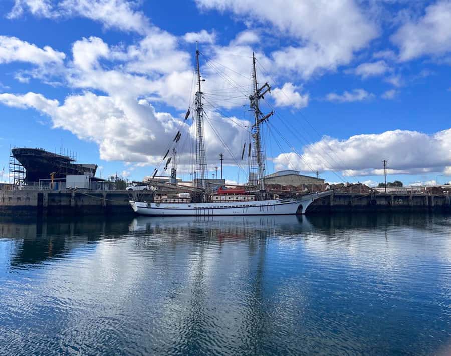 Port Adelaide: Dolphin and Maritime Cruise - The skipper-led format and crew service