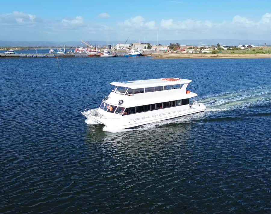 Port Adelaide: Dolphin and Maritime Cruise - Meeting beside the red and white lighthouse