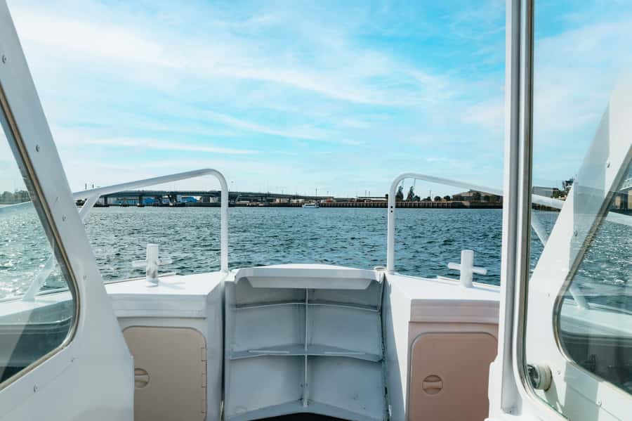Port Adelaide: Dolphin and Ships Graveyard Cruise - Booking, cancellation, and practical value