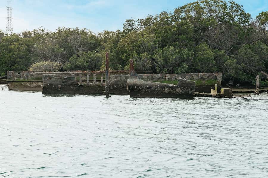 Port Adelaide: Dolphin and Ships Graveyard Cruise - What the 90 minutes feel like onboard