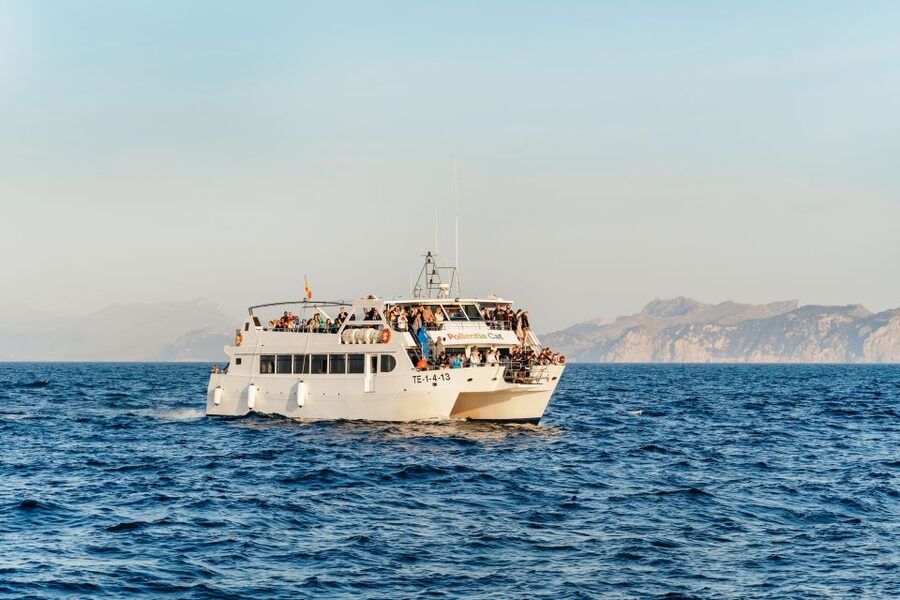 Port d'Alcudia: Sunrise at Sea & Dolphin Watching Boat Tour - Why the pre-dawn start is worth considering