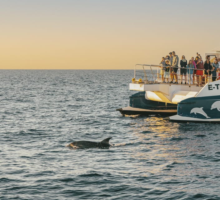 Port d'Alcudia: Sunrise at Sea & Dolphin Watching Boat Tour - Leaving Puerto de Alcúdia in the dark