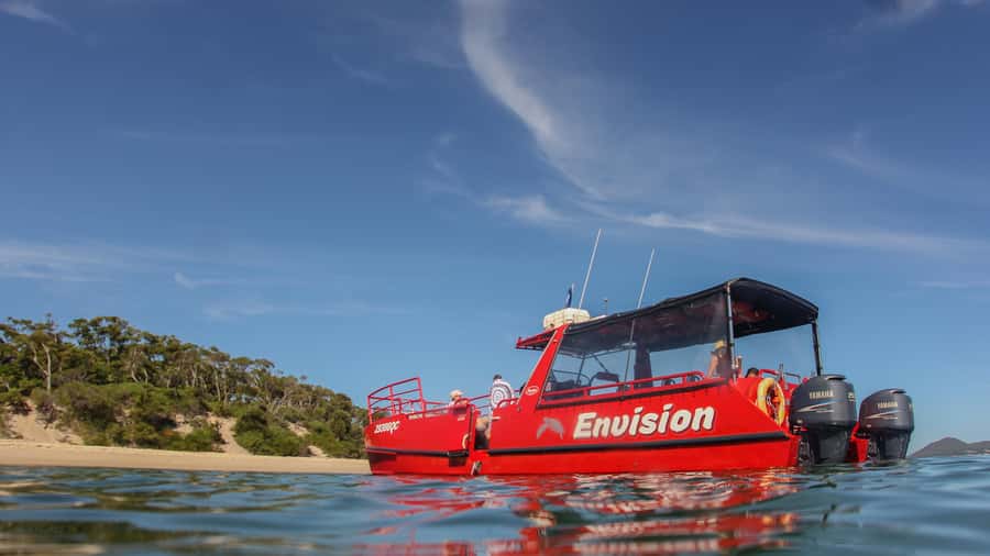 Port Stephens: 1hr Dolphin Watch Express - Why this one-hour dolphin trip works