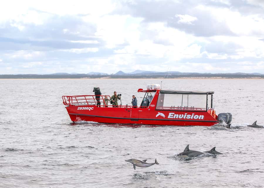 Port Stephens: 1hr Dolphin Watch Express - From Shoal Bay to Jimmy’s Beach