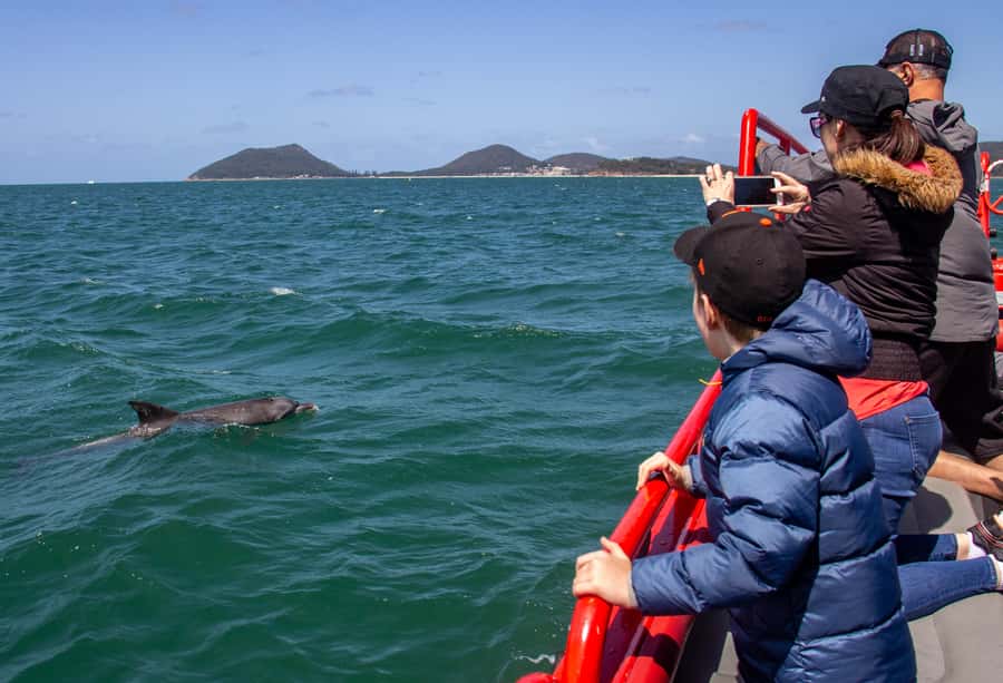 Port Stephens: 1hr Dolphin Watch Express - What the smaller boat changes