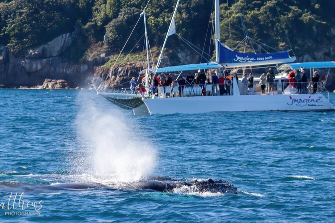 Port Stephens 3 Hour Whale and Dolphin Watch Cruise - Comfort features that make three hours easier