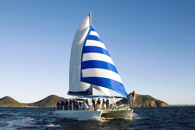 Port Stephens 3 Hour Whale and Dolphin Watch Cruise - Is $62.04 a fair price?