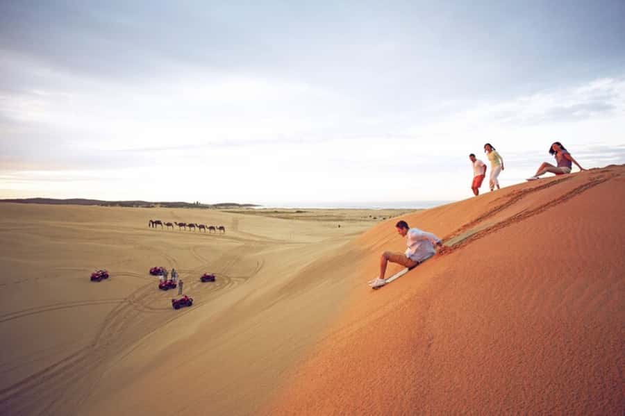 Port Stephens: Dolphin Cruise, Lunch, Koalas & Sandboarding - Why this Port Stephens day trip works