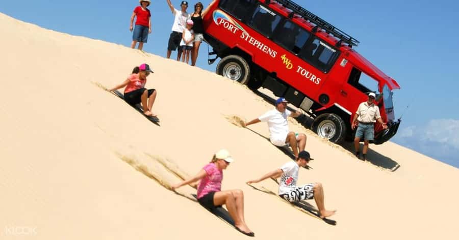 Port Stephens: Dolphin Cruise, Lunch, Koalas & Sandboarding - Meeting koalas at the PS Koala Sanctuary